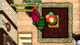 Pinto Lindo -Underwar 2011