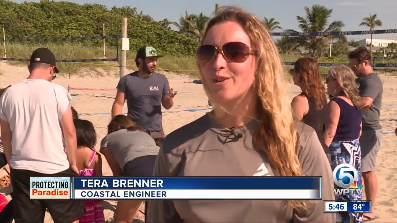 vero beach weather Educators learn about Delray Beach's turtle-protection program