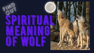 Spiritual meaning of Wolf Moon. What Does It Means To Have The Wolf As Your Spirit Animal?2023 Video