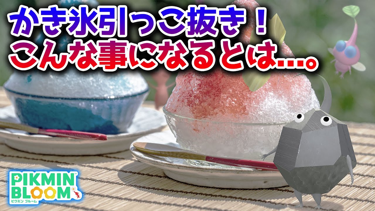 【ピクミンブルーム】かき氷引っこ抜き！こんな事になるとは...。【Pikmin Bloom】