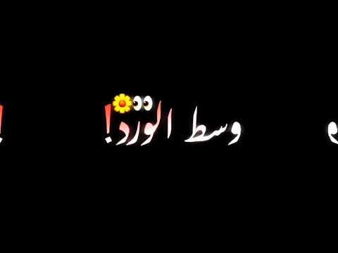 مهرجان رميت الحب وسط الورد باعني عصام صاصا حالات واتس مهرجانات 2020