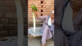 The villagers ##shorts##haryanvi Thumb