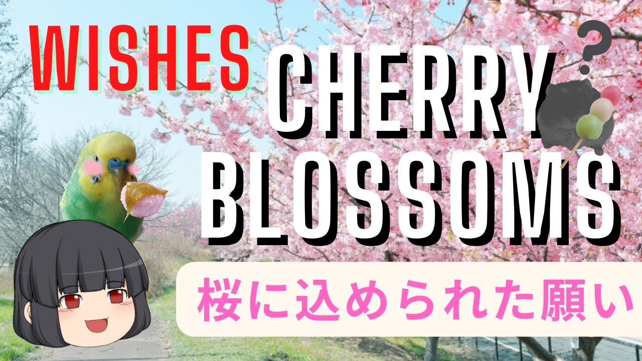 Wishes In The Cherry Blossoms 桜に込められた願い Emimaru 英語 中国語 Note