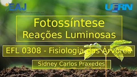 O que é reação luminosa?