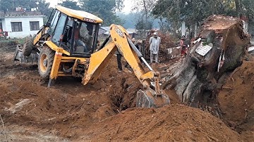 JCB VS A Big Tree Root - JCB Pushing and Pulling A Big Tree Root - JCB Dozer Video