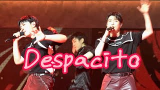Despacito 2025 포레스텔라(Forestella) 콘서트 THE WAVE in Busan 250809