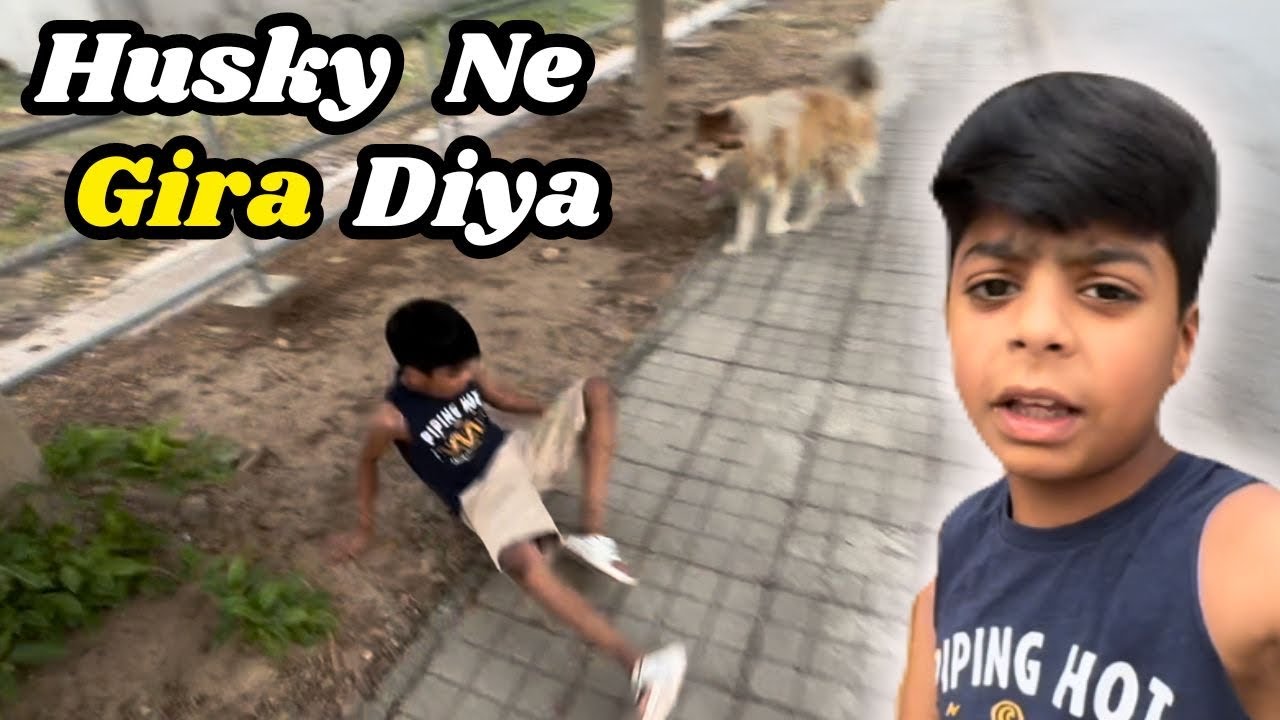 Husky na sab ko pull kiya | pulling for fun .pulling power husky style !