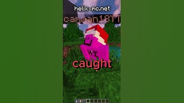 I Caught Camman18 HACKING On My Minecraft Server! #shorts