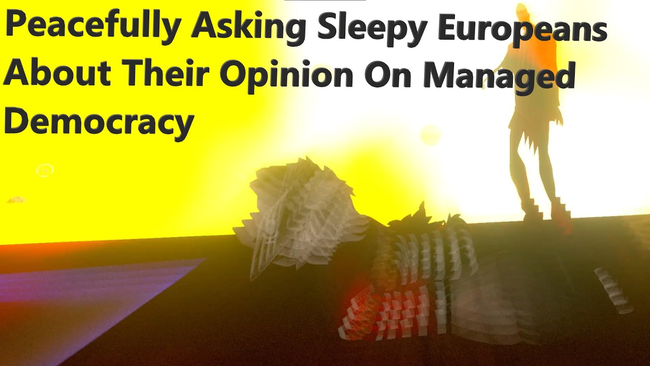 Asking Sleepy Europeans About Democracy On VRchat