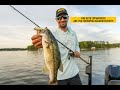 Topwater explosions - Walking bait tips for bass