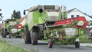 Žně Krasová (Agris Jedovnice), kombajny Claas Lexion, odvoz pšenice truck MAN + Zetor, CASE u balíků