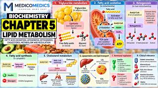 Introduction to Biochemistry | Chapter 5: Lipid Metabolism