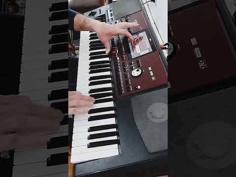 عزف اغنيه نتالي للفنان حسام تحسين بيك