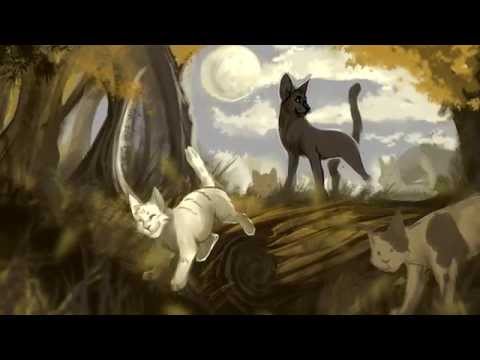 The Valley - 3 Hour Warriors PMV part 33