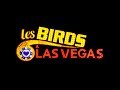 Les birds  las vegas