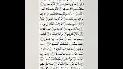 سورة المطففين - بصوت القارئ: سيف بن سعيد الفرقاني.