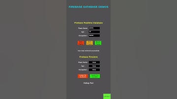 Firebase Demo Footage