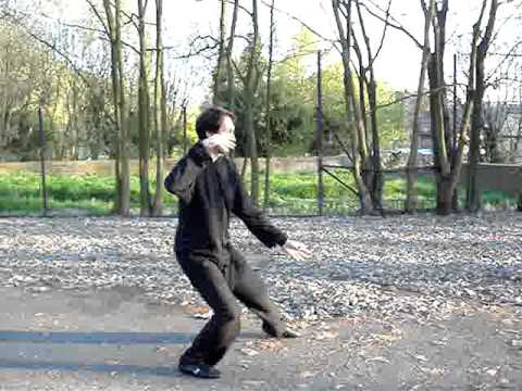 Chenshi Taijiquan laojia yilu 3za parte_frontale.M...