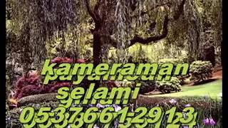 Payacamlı Gılfan