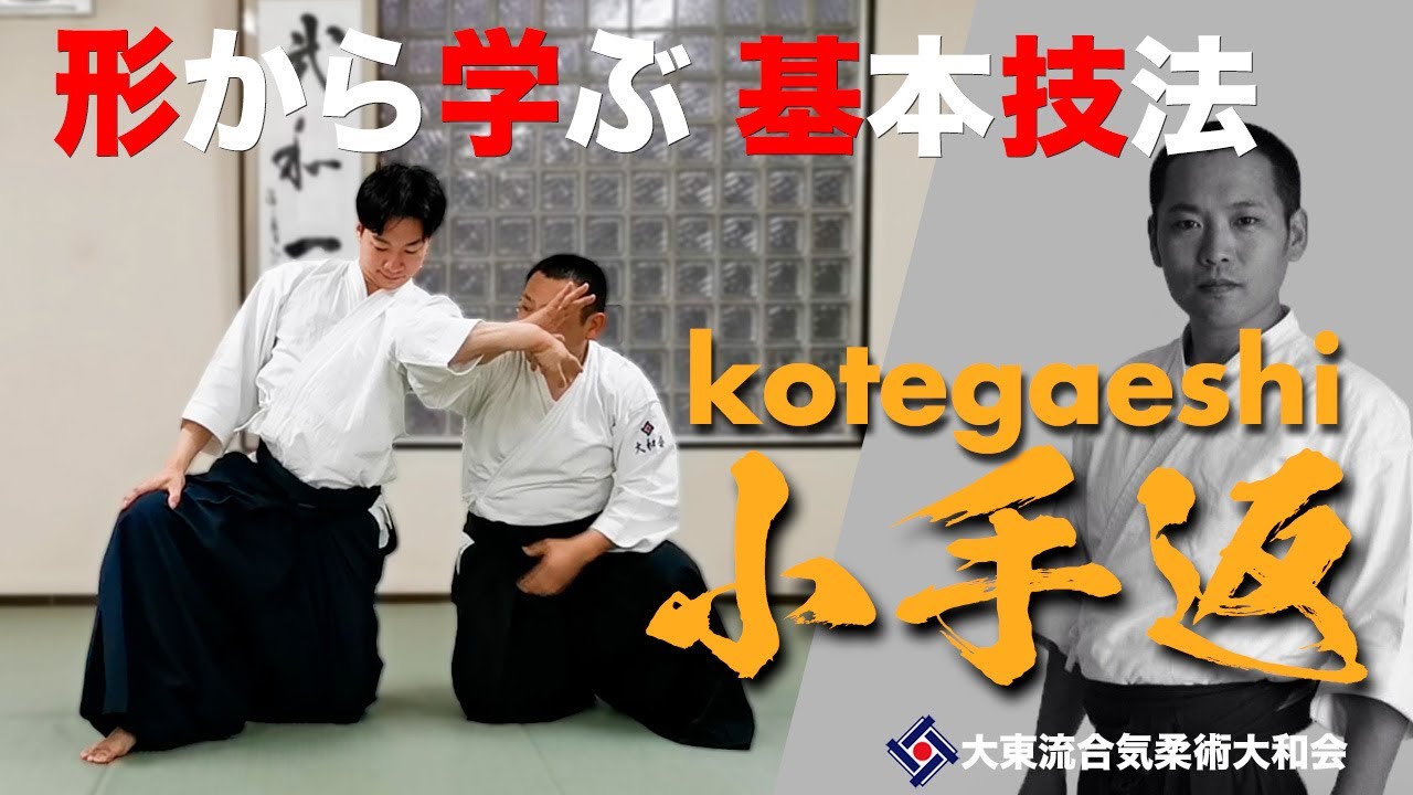 【小手返と変化技017】~小手を折りたたむ~　／大東流合気柔術大和会