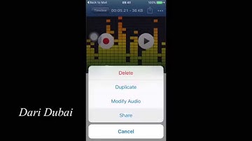 How to save audio files and notes from WhatsApp into your photos Album on iPhone