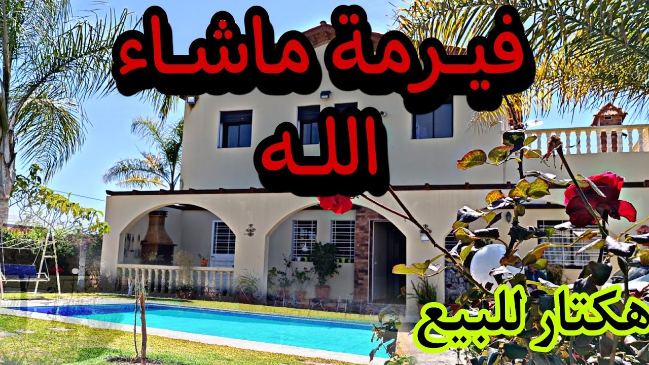 فيرمة الضخامة عند البياض مجهزة بمسبح و عديد من المغروسات يا سلام اجيوا تمتعوا الوليدات