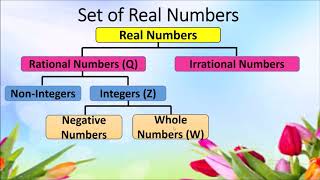 Real Numbers   Math 7 Week 7