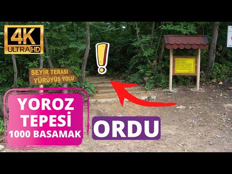 Ordu Yoroz Tepesi & Yoroz Kent Ormanı (Muhteşem Bir Manzara!)