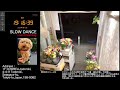【Mon.04/13/2026 Livecamera at the florist】 スローダンス SLOWDANCE 等々力 尾山台 世田谷 Setagaya 東京 Tokyo 日本 Japan