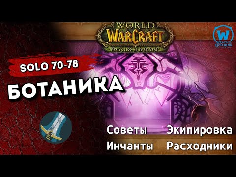 Видео: Прокачка воина соло по подземельям 70-78  уровни WotLk Classic