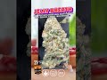 Jelly Breath THCa Flower | Exotic Indoor Indica | 30% Potency | Berry Lavender | Bulk THCa #thca