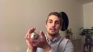 Simon Brandt - Vad gör Knightec annorlunda från andra företag? Tagning 1.