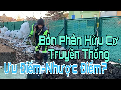 Video: Sưu tầm hữu cơ - Tìm hiểu về điều gì tạo nên một khu vườn hữu cơ