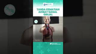 Bahaya Gagal Ginjal Dapat Mengancam Nyawa Kenali Tanda Kematian Yang Pantang Disepelekan