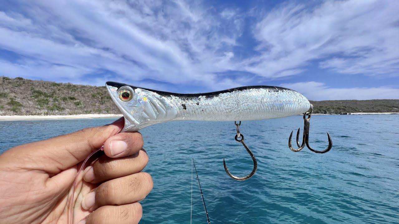 Popper, Crankbait y galleta - SaR Five Artículos de Pesca