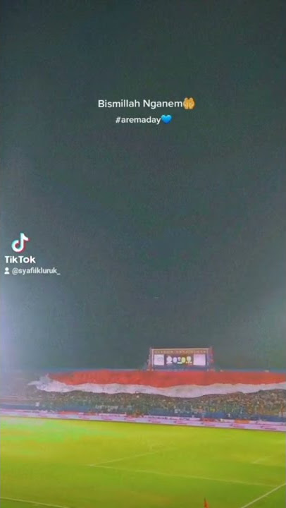 story wa arema day 30 detik #arema #aremania #shorts