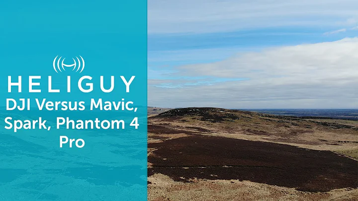 DJI Mavic VS Spark VS Phantom 4 Pro - Which DJI should you buy?