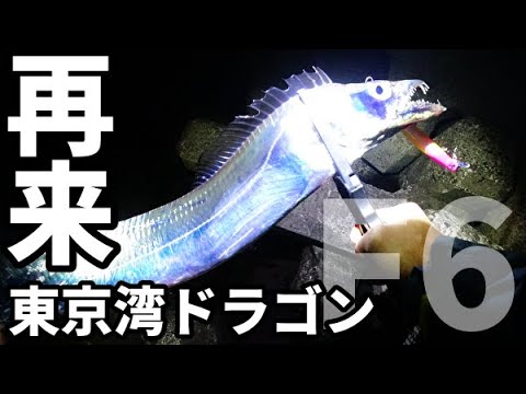 太刀魚釣り 今年も来た 東京湾奥タチウオ再来 ショアジギング ブローウィンでf5 F6ドラゴンを狙う Youtube