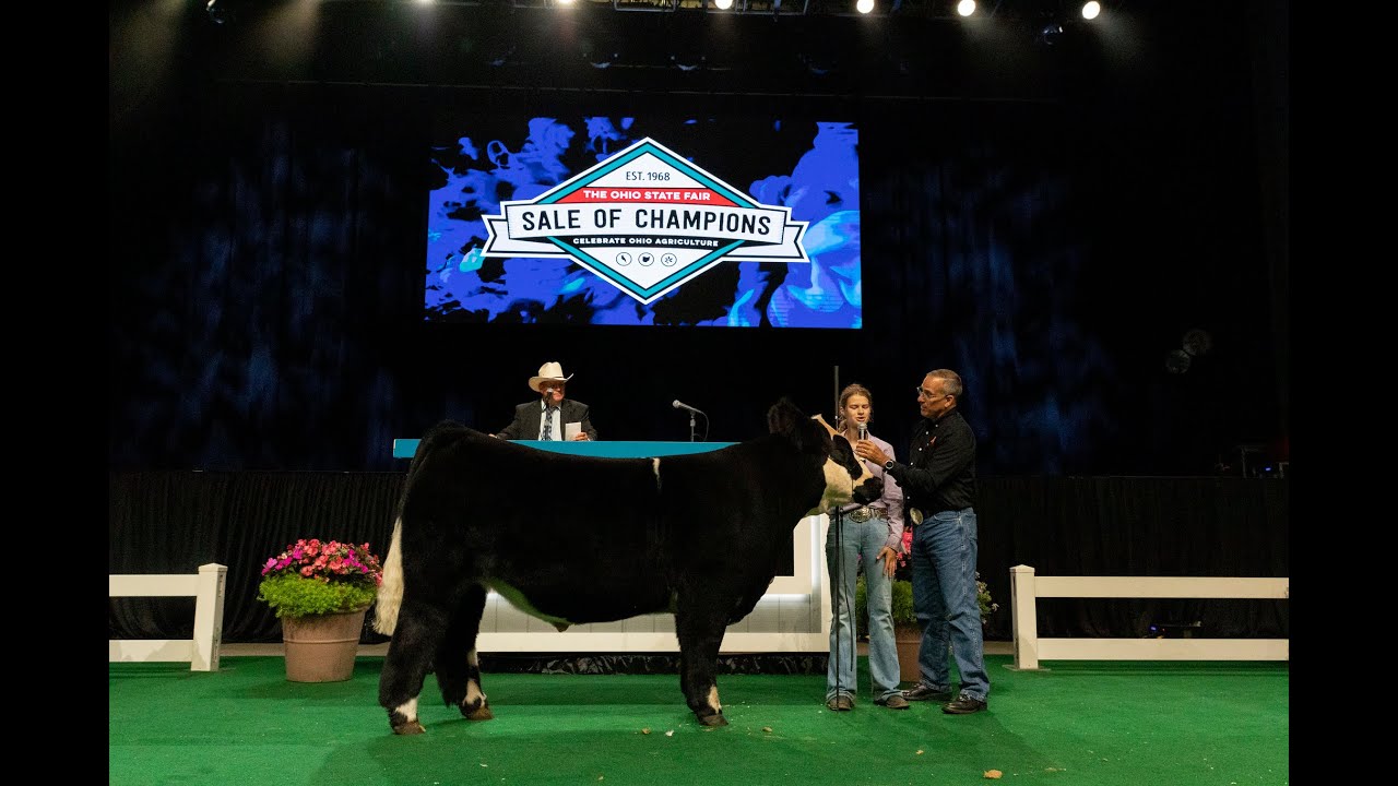 2023-ohio-state-fair-sale-of-champions-youtube