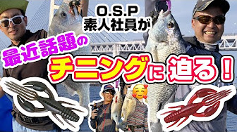 海釣り ソルトウォーターゲーム Youtube