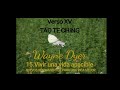 Verso XV TAO TE CHING Wayne Dyer 15.VIVIR UNA VIDA APACIBLE 15/82💖