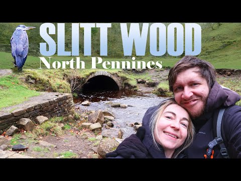 Slitt Wood walk | Weardale | County Durham