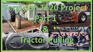 Ferguson Te20 project part 1