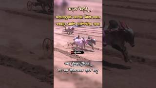 बकासुर आणि राजा गट पास 🔝#bailgadasharyat #bakasur #बकासुर #mathur #shorts #trending #live #sharyat