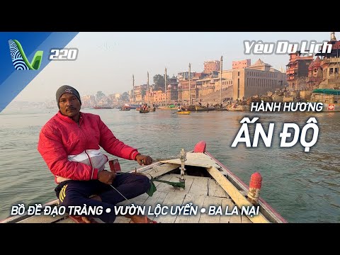 YDL #220: Hành hương Ấn Độ cuối năm, thăm chùa Việt Nam nơi đất Phật | Yêu Máy Bay