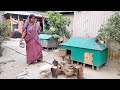 Bangladeshi village farmar life style vlog  simple village life  our village life