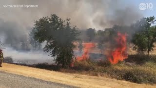 Grass fire burns off of lower American River Parkway | RAW