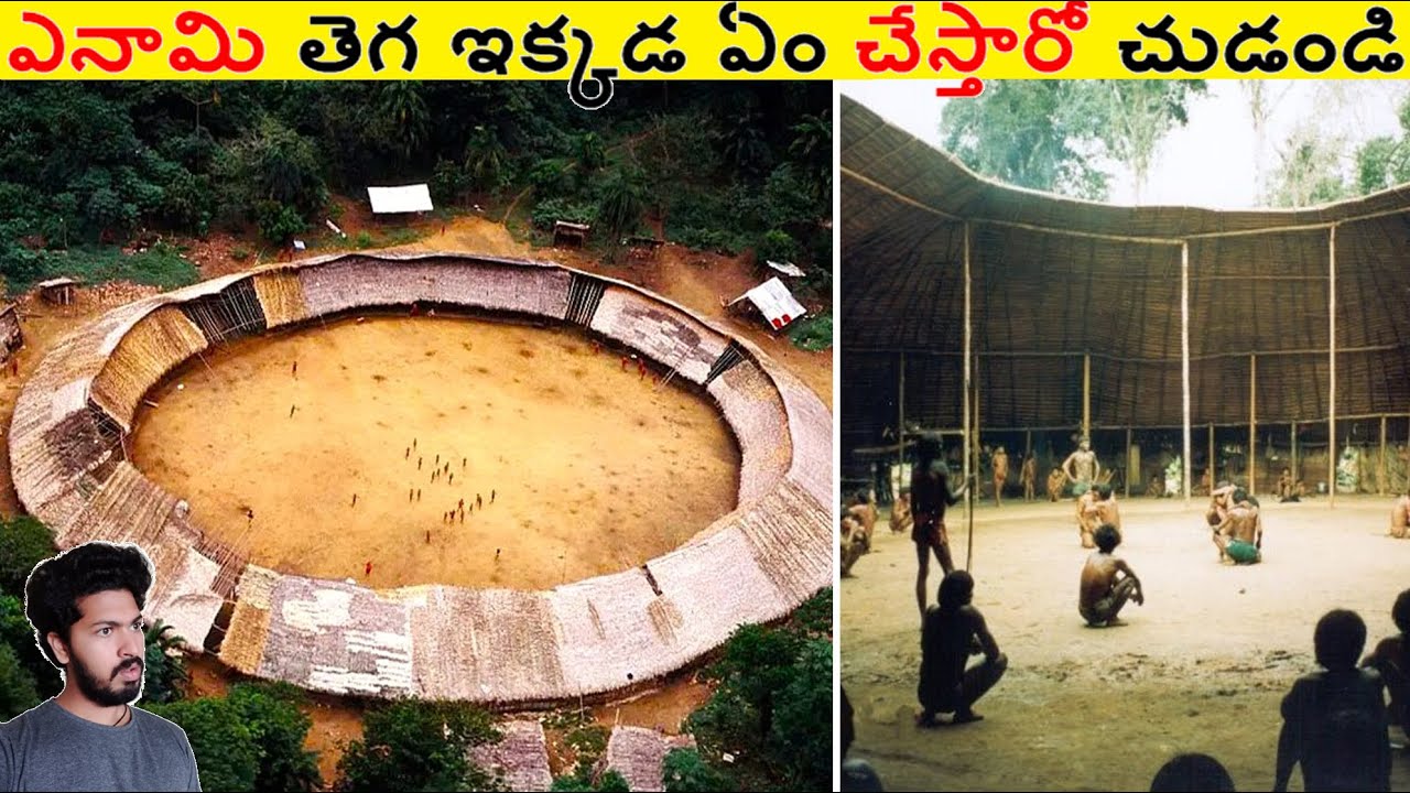ఎనామి తెగ వాళ్ళు ఇక్కడ ఏం చేస్తారో చుడండి || Amazing Facts Ever Listen Part 210 || ALK Facts