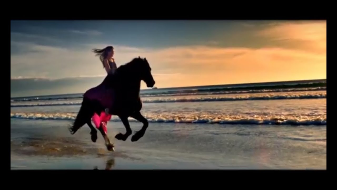 The black eyed peas i gotta feeling dailymotion ludavino