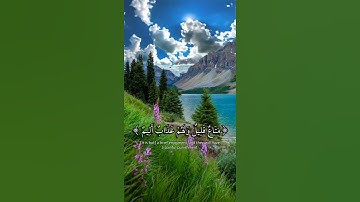 تلاوة خاشعة بصوت | وديع اليمني سورة النحل